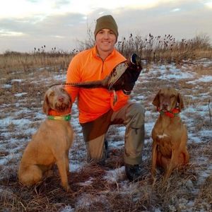 Meet your Posher, Abram